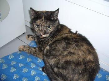 l Bild von Lena