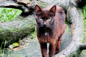 f Bild von Freda