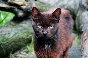 f Bild von Freda
