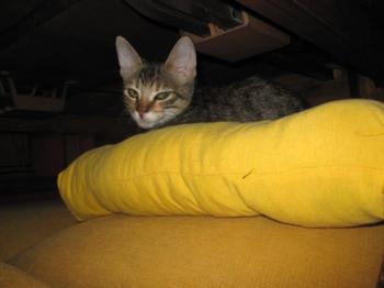 o Bild von Maggie