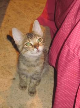 o Bild von Maggie
