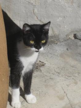 h Bild von Hope