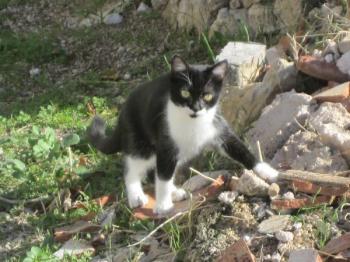 h Bild von Hope