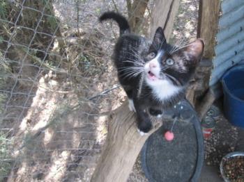 Bild von Jerry