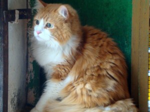 m Bild von Merli