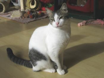 m Bild von Momo