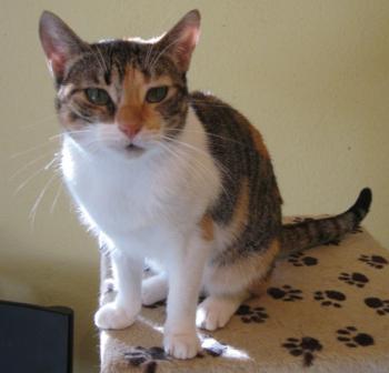 Bild von Lilou