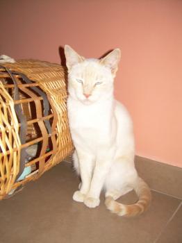 m Bild von Mandarina