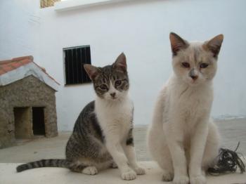 g Bild von Carlota - Flora