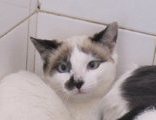 p Bild von Casper