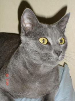 Bild von Ronjo