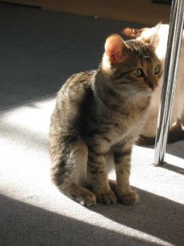 Betty im neuen Zuhause Bild von Betty