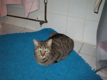 Bild von Nala
