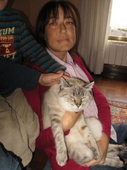 e Bild von Estela