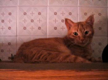 o Bild von Oliver