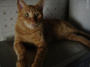 o Bild von Oliver