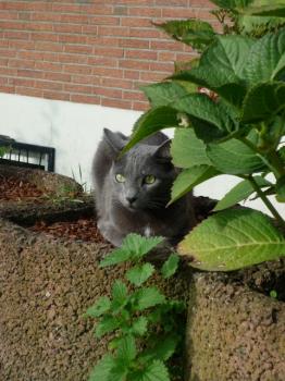 l Bild von Lisa