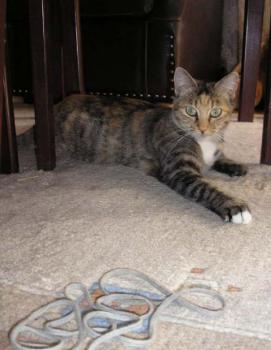 s Bild von Silwa