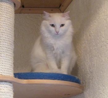 s Bild von Sami