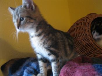 o Bild von Olivia