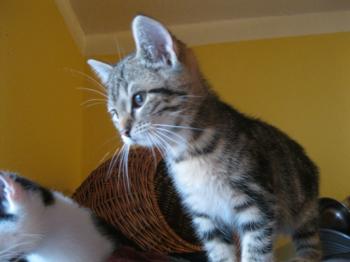 o Bild von Olivia