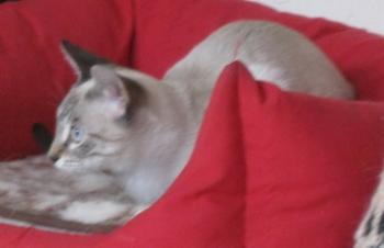 a Bild von Angy