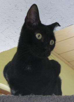 Bild von Bella