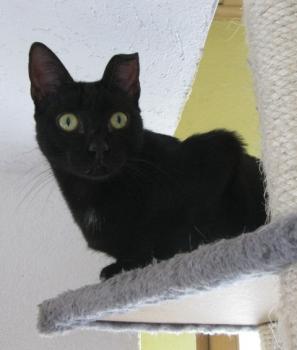 Bild von Bella