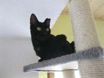 Bild von Bella