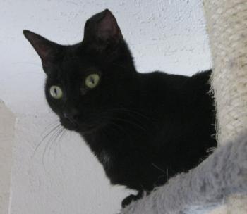 Bild von Bella