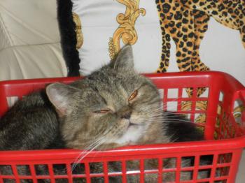 m Bild von Maya