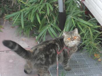 m Bild von Maya