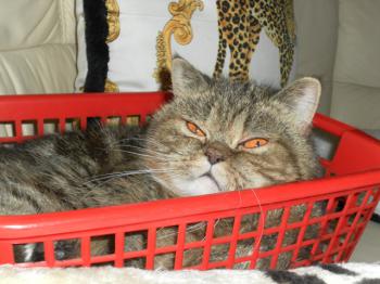 m Bild von Maya