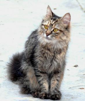 r Bild von Magali 5358