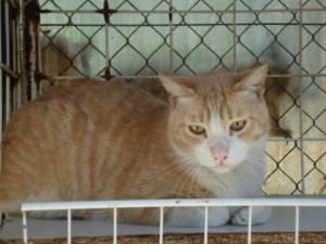 5 Bild von Balu 5221