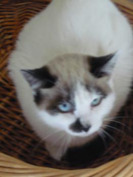 o Bild von Casper