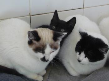 o Bild von Casper
