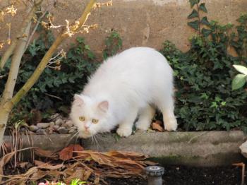 t Bild von Tommy