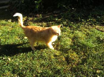 f Bild von Friki