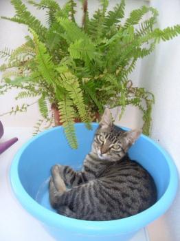 t Bild von Tammy-Nana