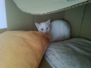d Bild von Dori