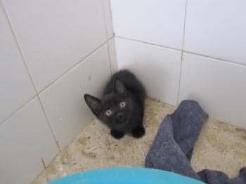 o Bild von Batman