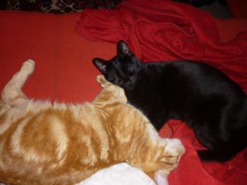 Bild von Mogly