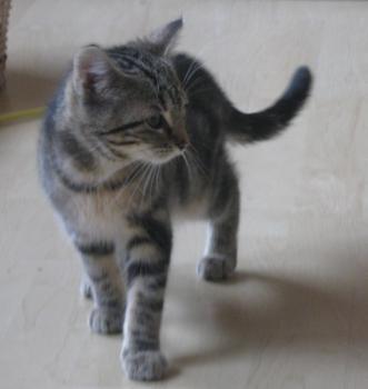 o Bild von Olivia