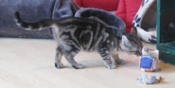 o Bild von Olivia