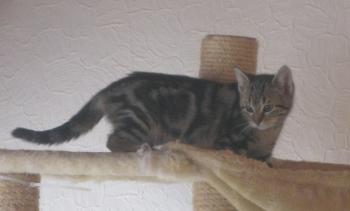 o Bild von Olivia