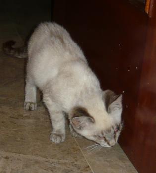 l Bild von Lucecita