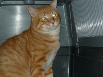 r Bild von Rubio