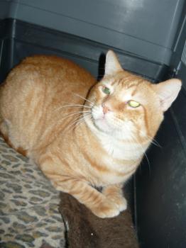 r Bild von Rubio
