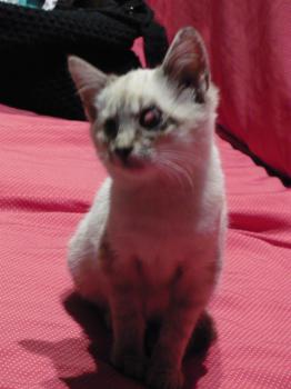l Bild von Lucecita